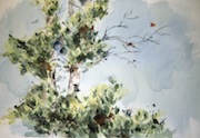 Marie Kaneko Shaughnessy